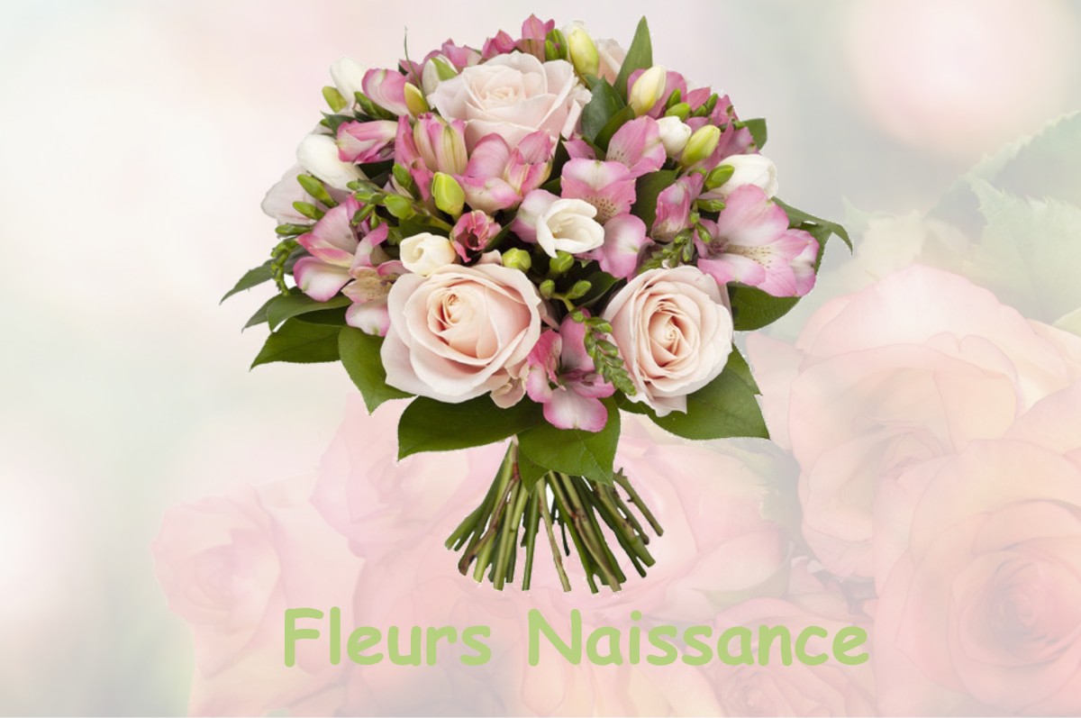 fleurs naissance VIZILLE