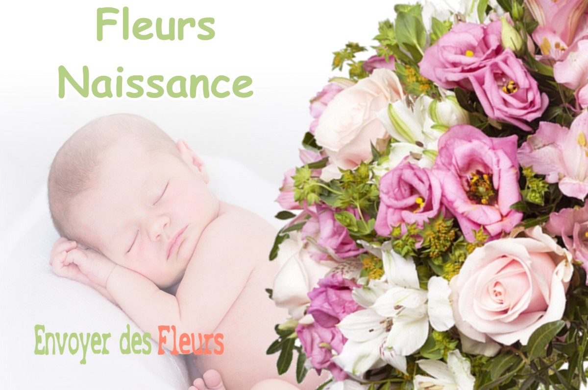 lIVRAISON FLEURS NAISSANCE à VIZILLE