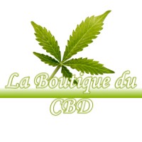 LA BOUTIQUE DU CBD VIZILLE 